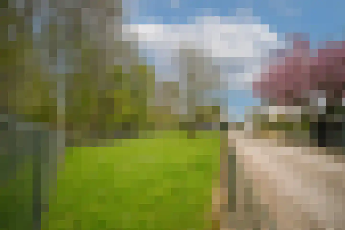 de Tuut 16 Appeltern thumbnail 55