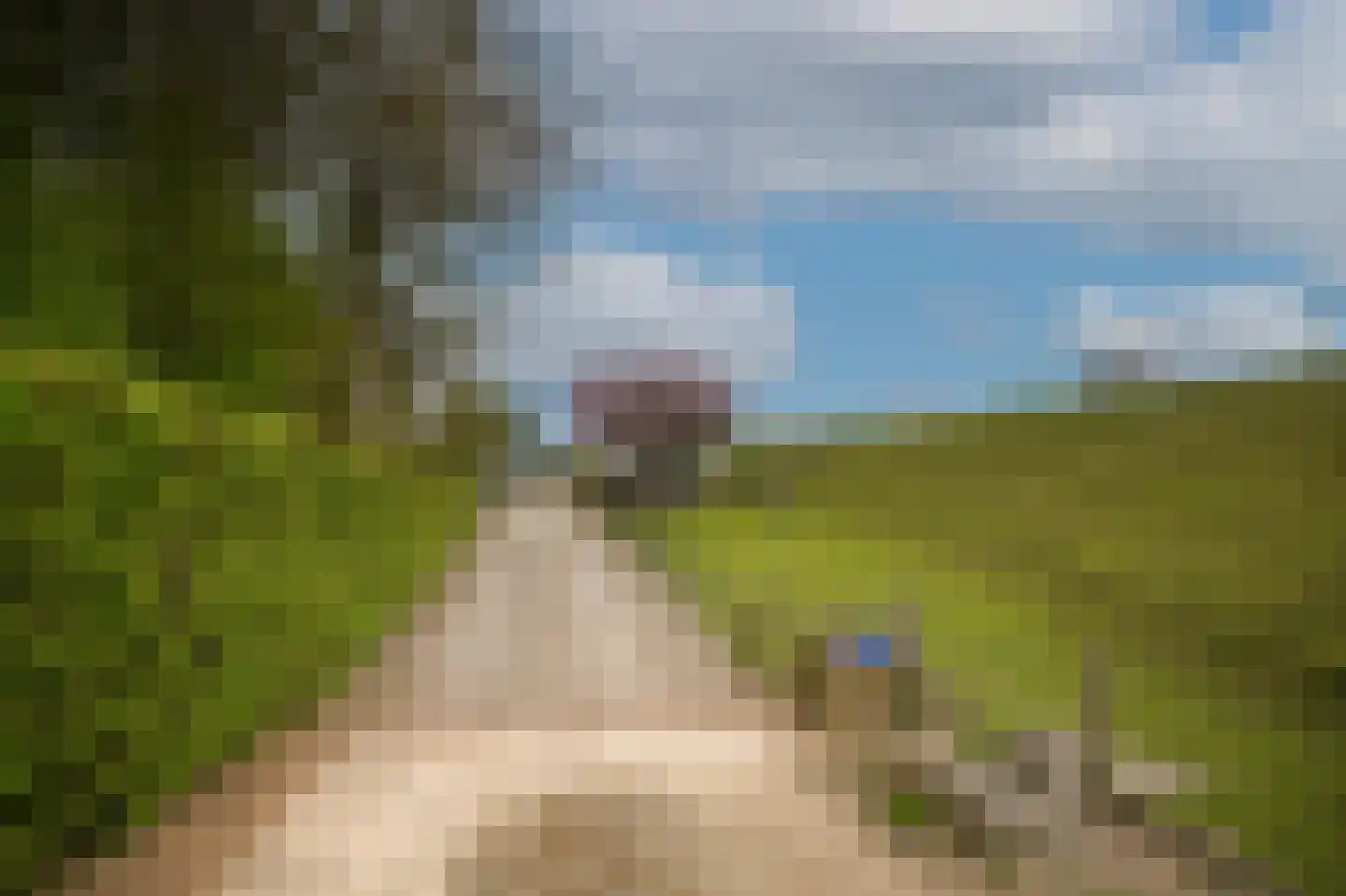 de Tuut 16 Appeltern thumbnail 56