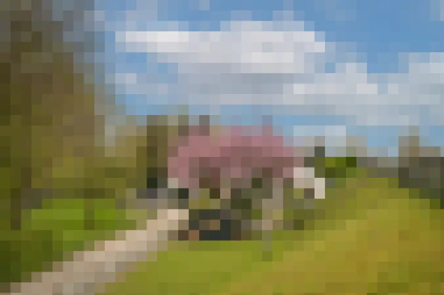 de Tuut 16 Appeltern thumbnail 57