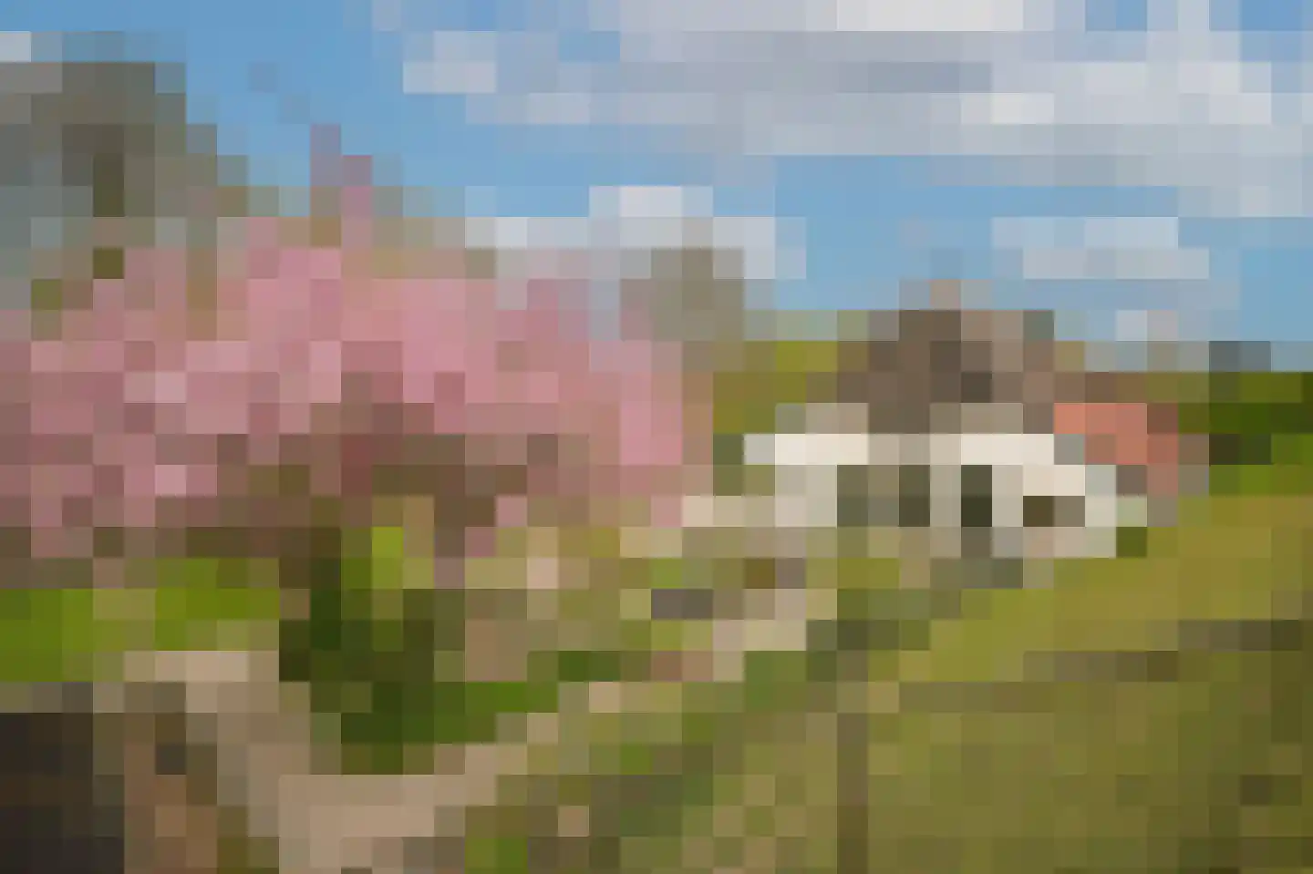 de Tuut 16 Appeltern thumbnail 58