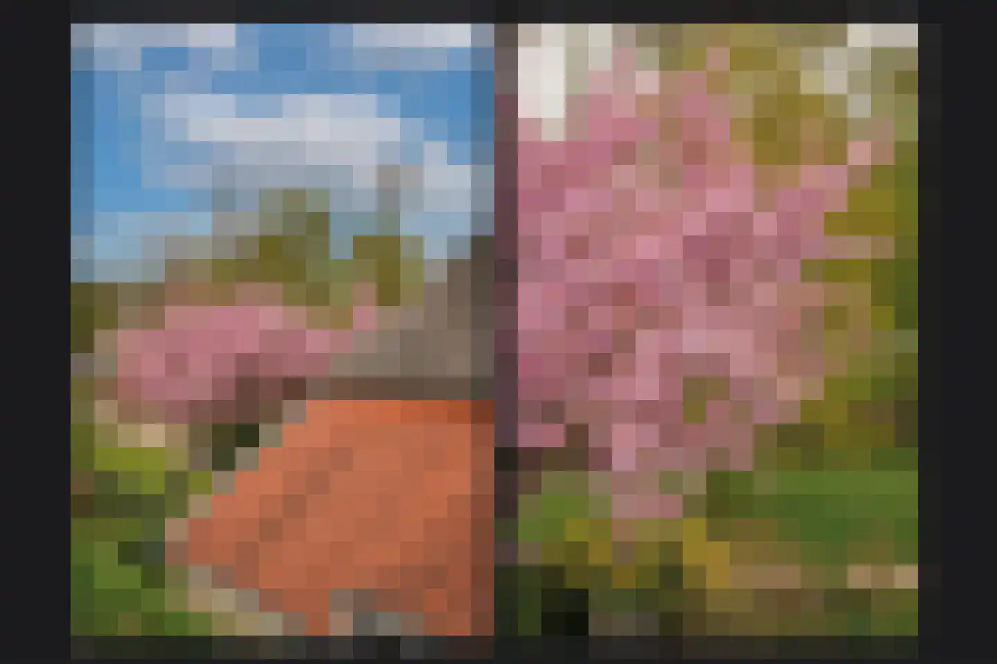 de Tuut 16 Appeltern thumbnail 59