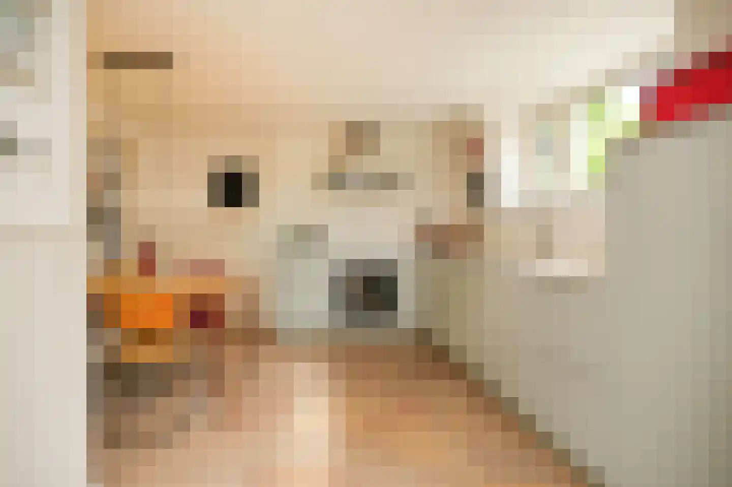 de Tuut 16 Appeltern thumbnail 6