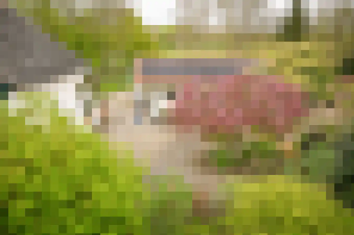 de Tuut 16 Appeltern thumbnail 60