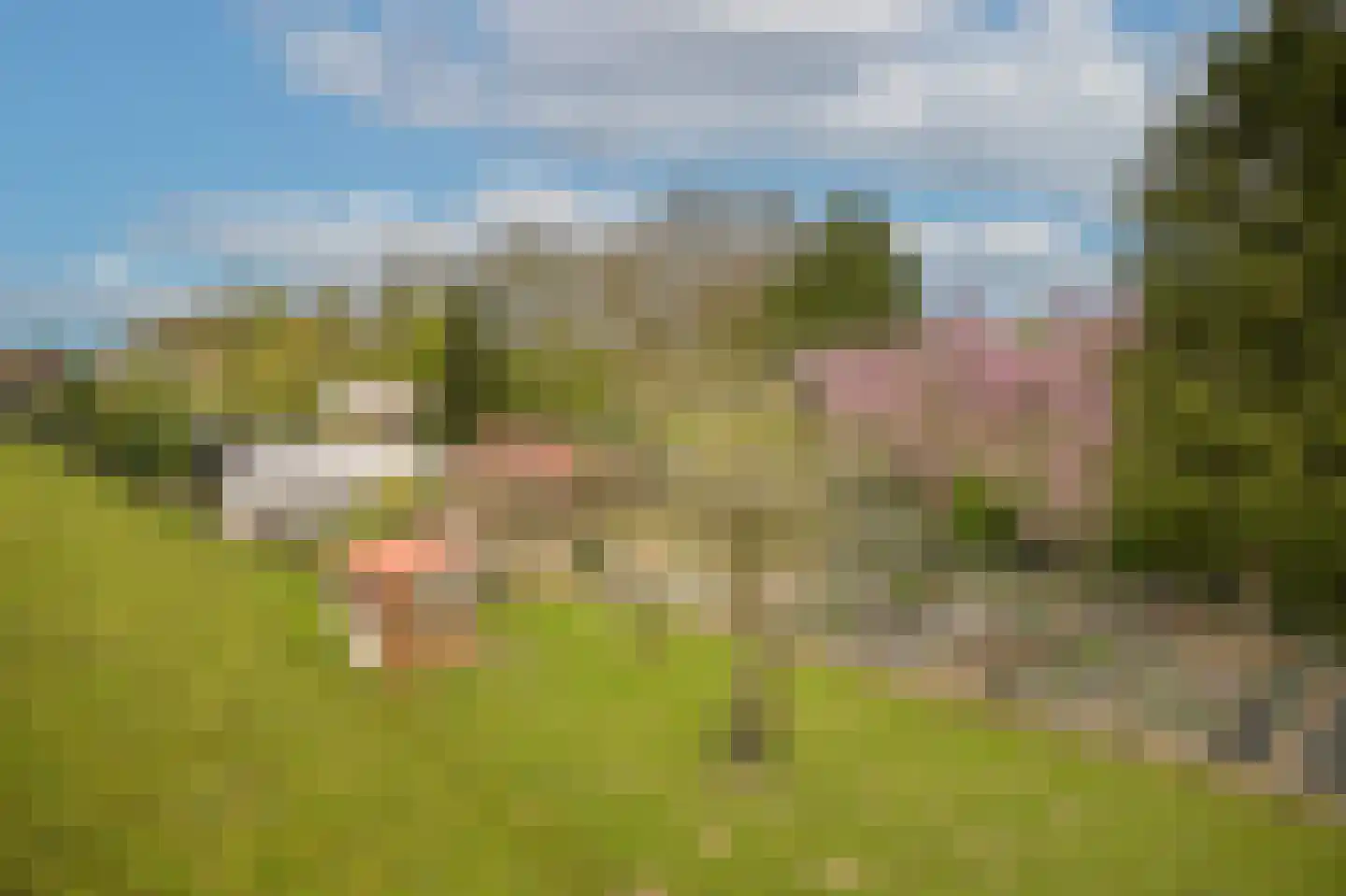 de Tuut 16 Appeltern thumbnail 62