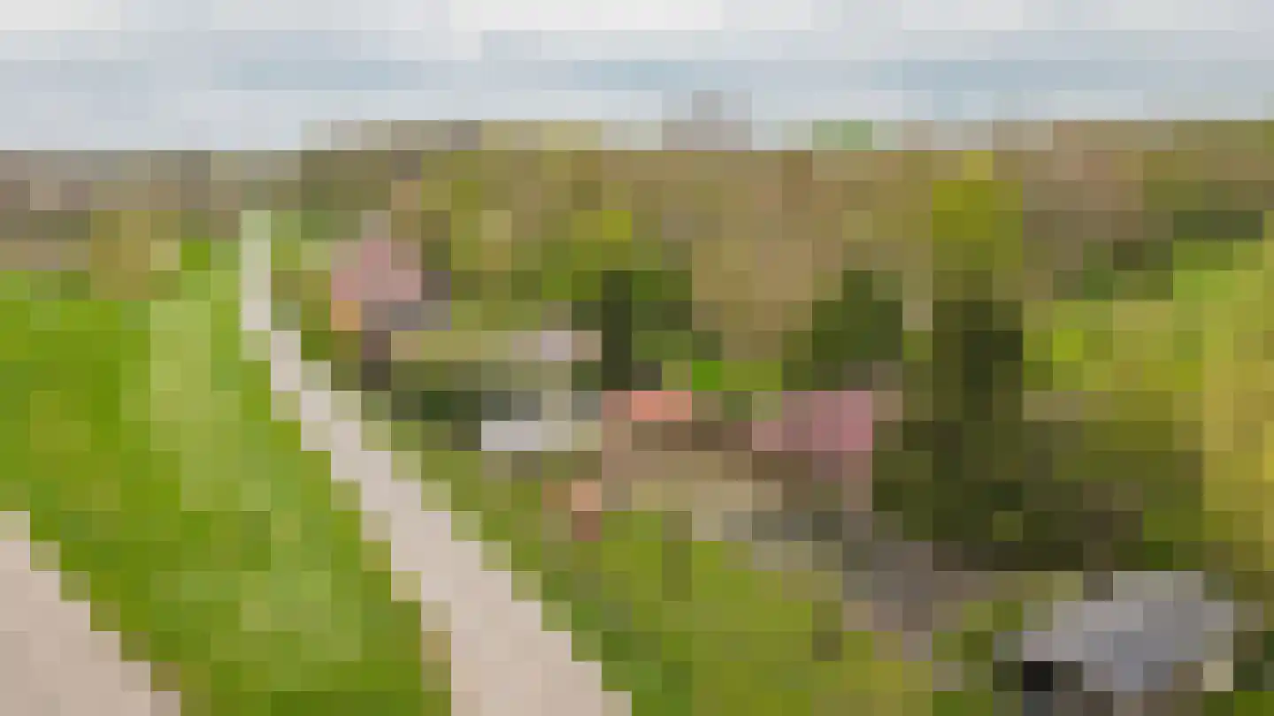de Tuut 16 Appeltern thumbnail 63