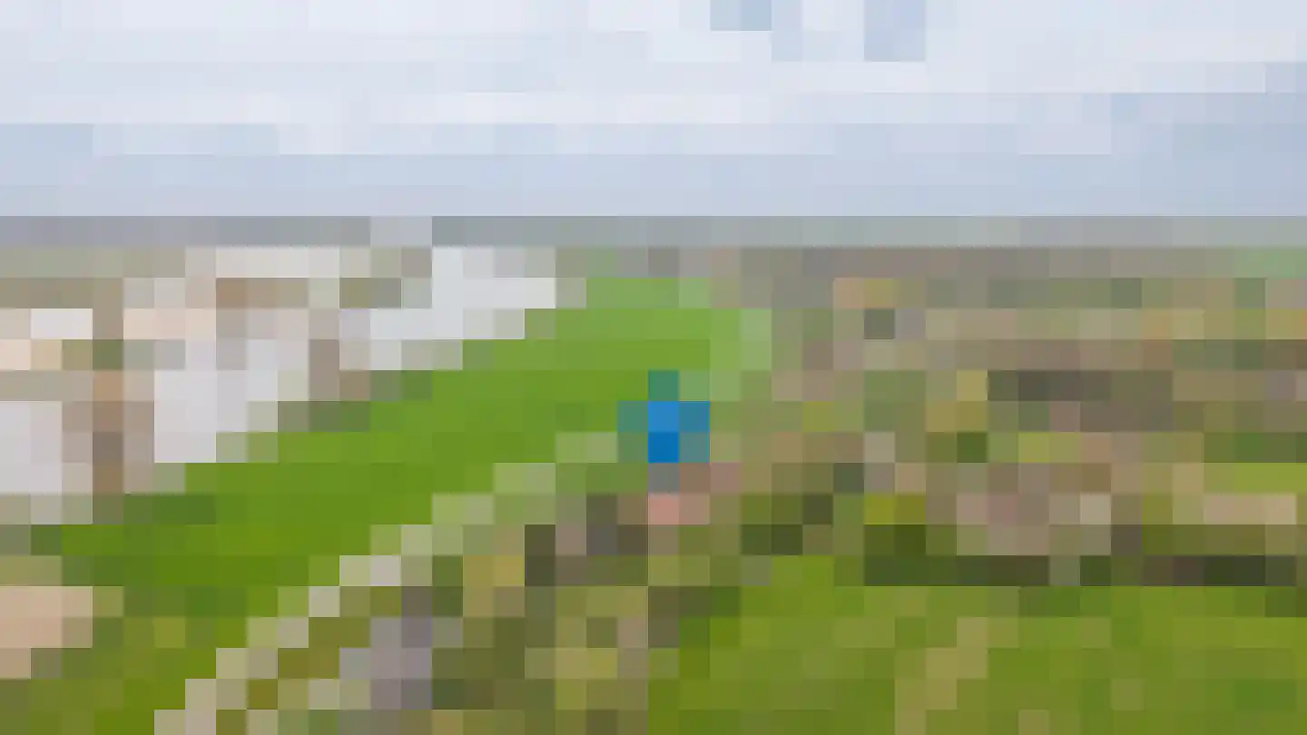 de Tuut 16 Appeltern thumbnail 67