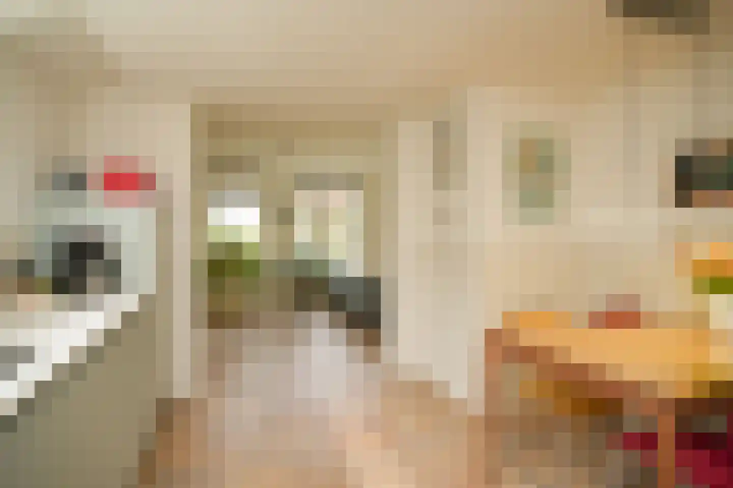 de Tuut 16 Appeltern thumbnail 7