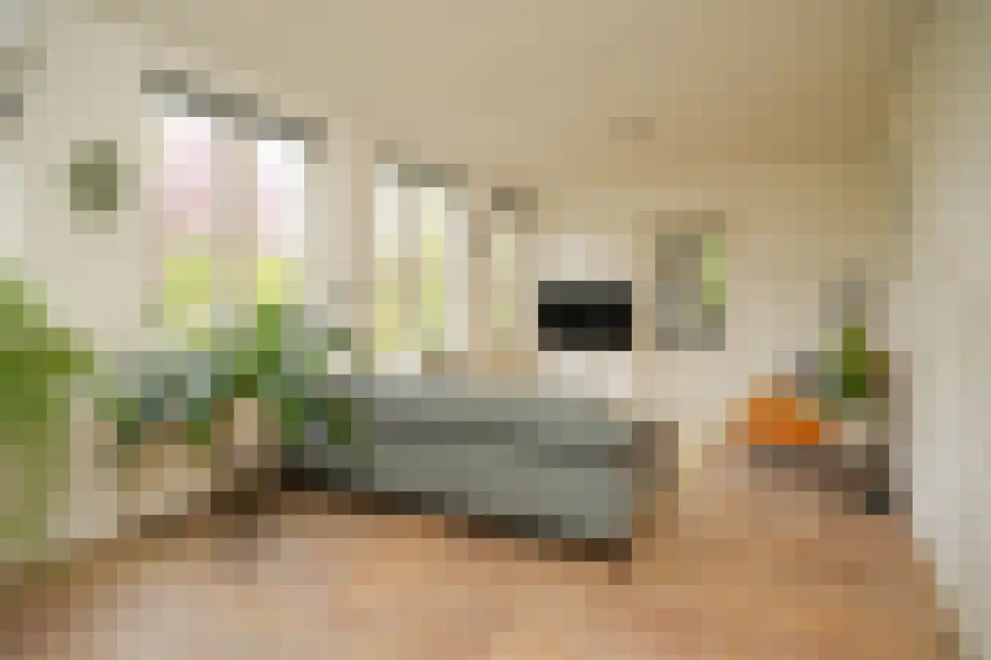 de Tuut 16 Appeltern thumbnail 8
