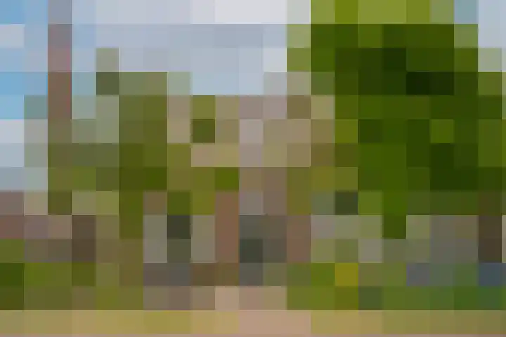 de Tuut 2 en Appeltern