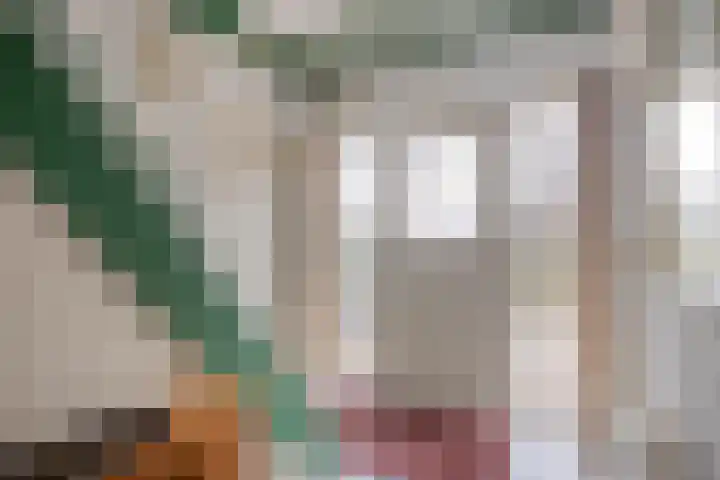 de Tuut 20 Appeltern thumbnail 10