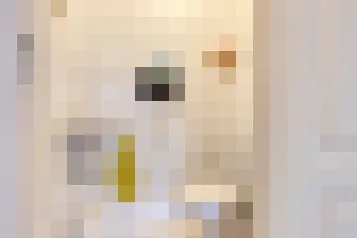 de Tuut 20 Appeltern thumbnail 11