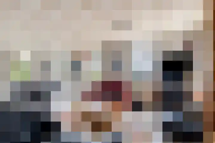 de Tuut 20 Appeltern thumbnail 15