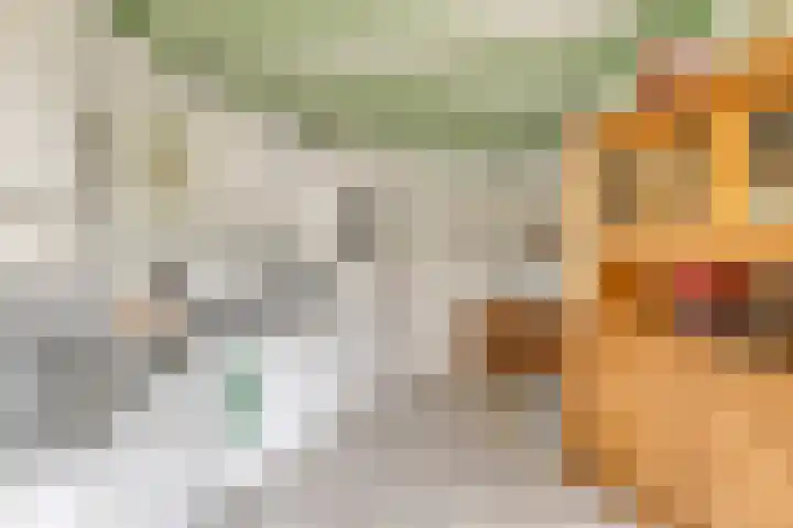 de Tuut 20 Appeltern thumbnail 16