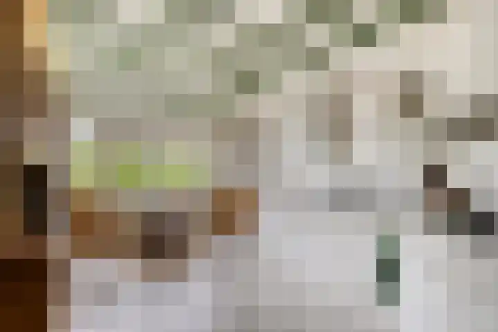 de Tuut 20 Appeltern thumbnail 17
