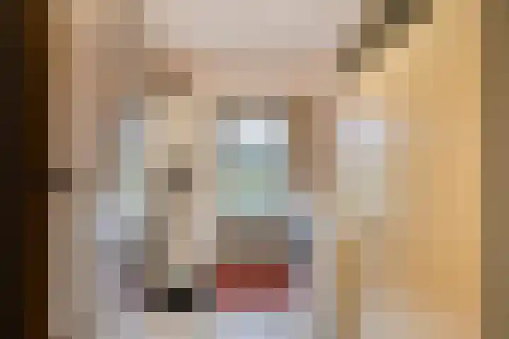 de Tuut 20 Appeltern thumbnail 18