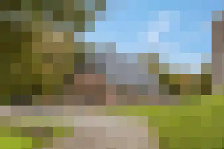 de Tuut 20 Appeltern foto 2