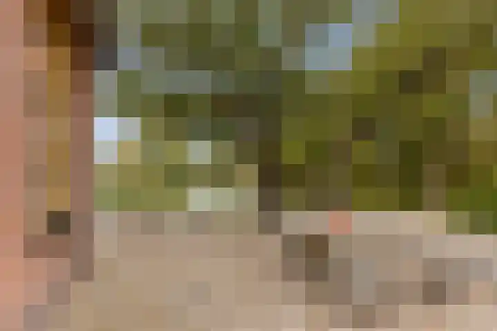 de Tuut 20 Appeltern thumbnail 30