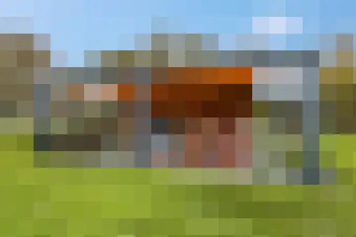 de Tuut 20 Appeltern thumbnail 33