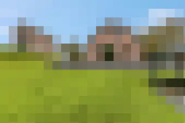 de Tuut 20 Appeltern thumbnail 34