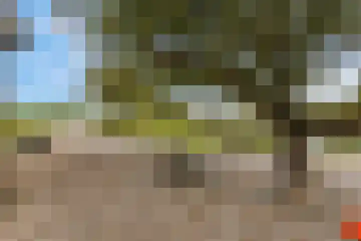 de Tuut 20 Appeltern thumbnail 35
