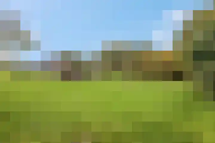 de Tuut 20 Appeltern thumbnail 36