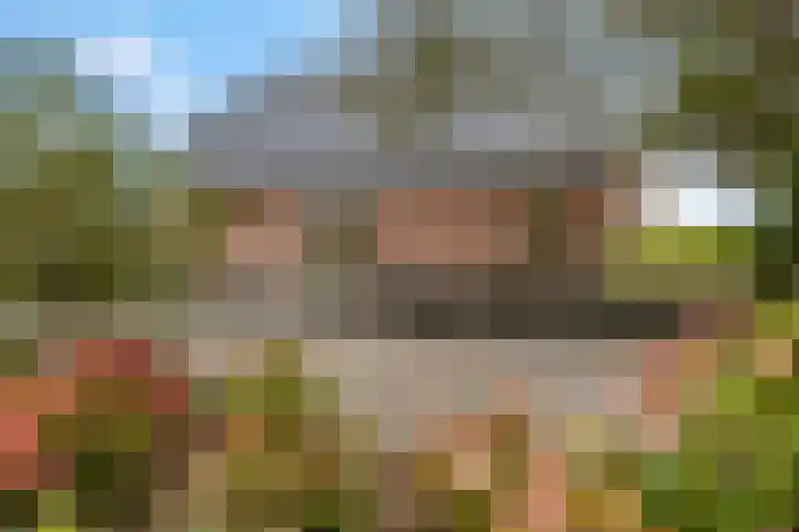 de Tuut 20 Appeltern thumbnail 37