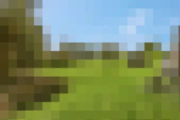 de Tuut 20 Appeltern thumbnail 38
