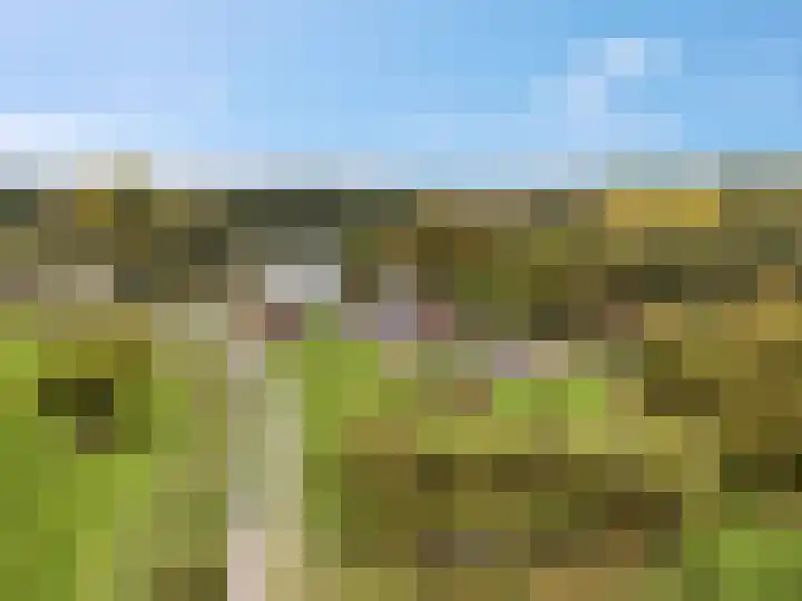de Tuut 20 Appeltern thumbnail 40