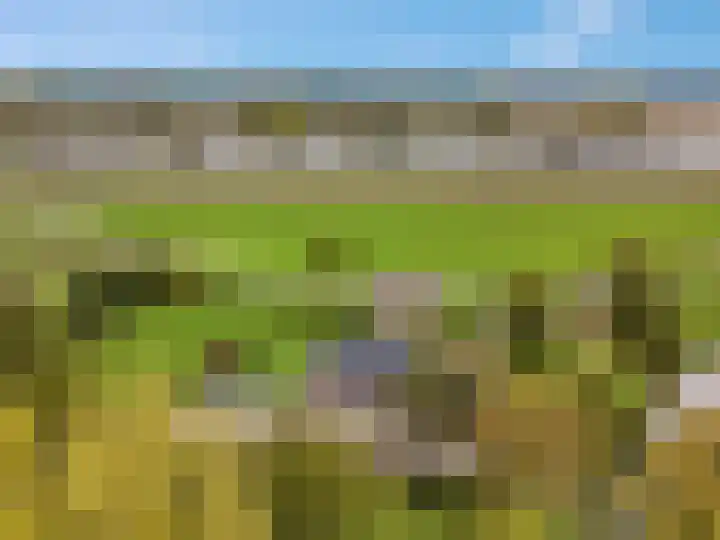 de Tuut 20 Appeltern thumbnail 41