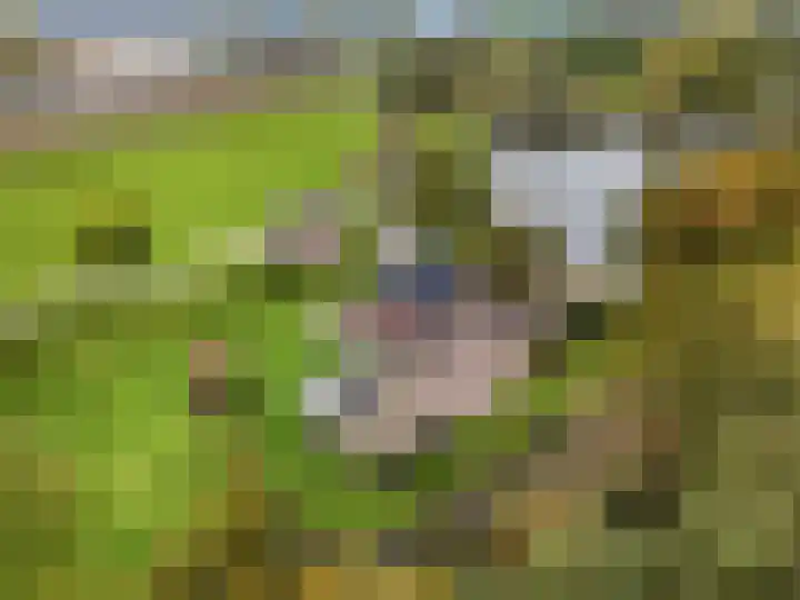 de Tuut 20 Appeltern thumbnail 43