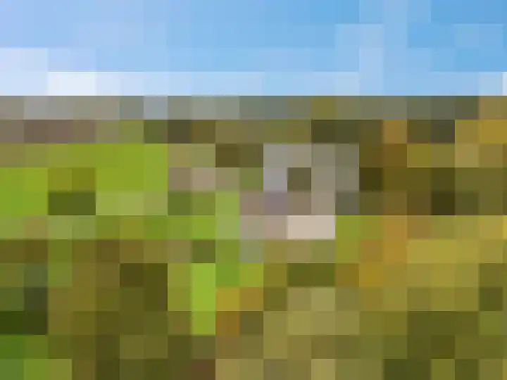 de Tuut 20 Appeltern thumbnail 44