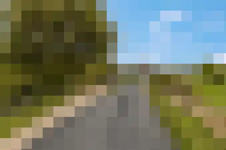 de Tuut 20 Appeltern thumbnail 45