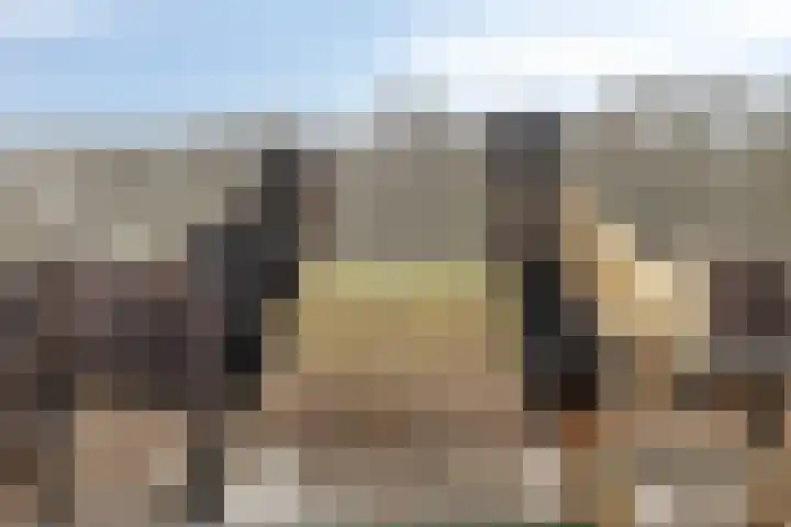 de Tuut 20 Appeltern thumbnail 5