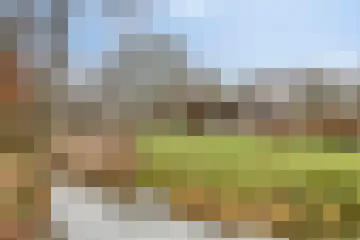 de Tuut 20 Appeltern thumbnail 51