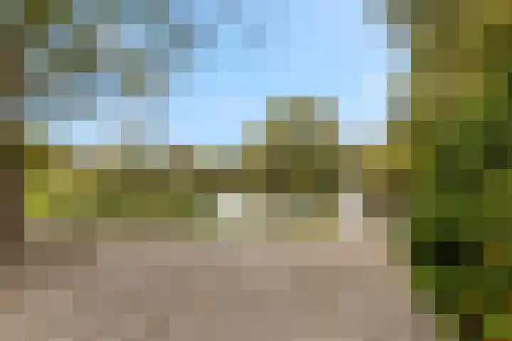 de Tuut 20 Appeltern thumbnail 6