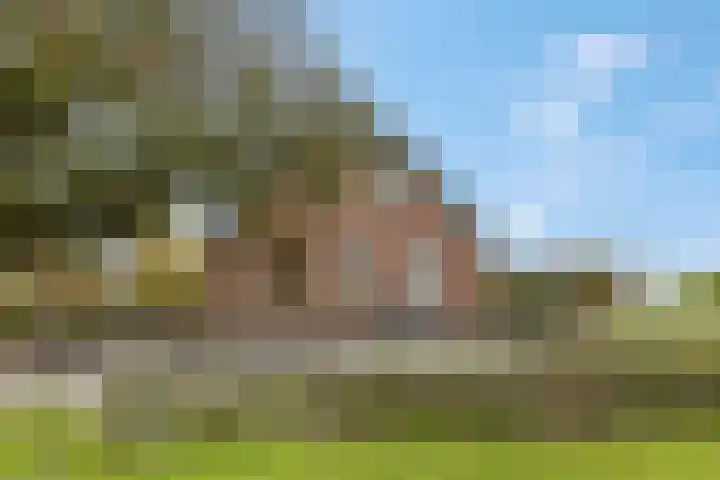 de Tuut 20 Appeltern thumbnail 7