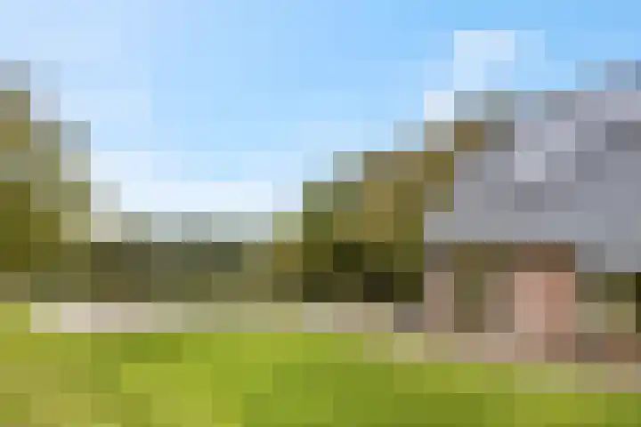 de Tuut 20 Appeltern thumbnail 8