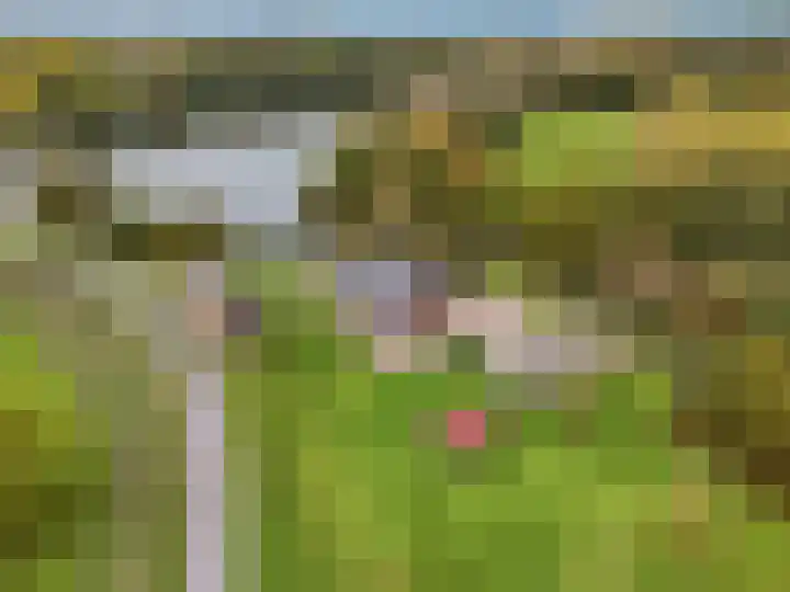 de Tuut 20 Appeltern thumbnail 9