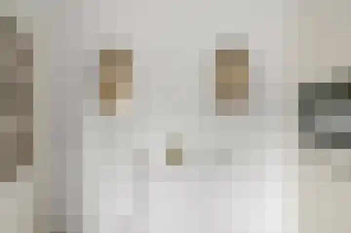 De Twaalfmaat 4 Uitgeest thumbnail 10