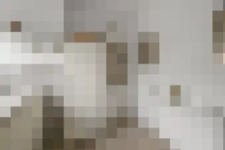 De Twaalfmaat 4 Uitgeest thumbnail 11
