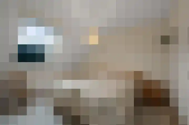 De Twaalfmaat 4 Uitgeest thumbnail 14