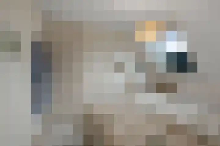 De Twaalfmaat 4 Uitgeest thumbnail 15