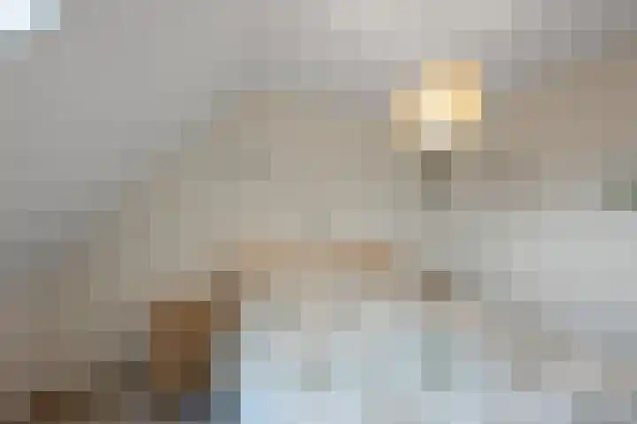 De Twaalfmaat 4 Uitgeest thumbnail 16