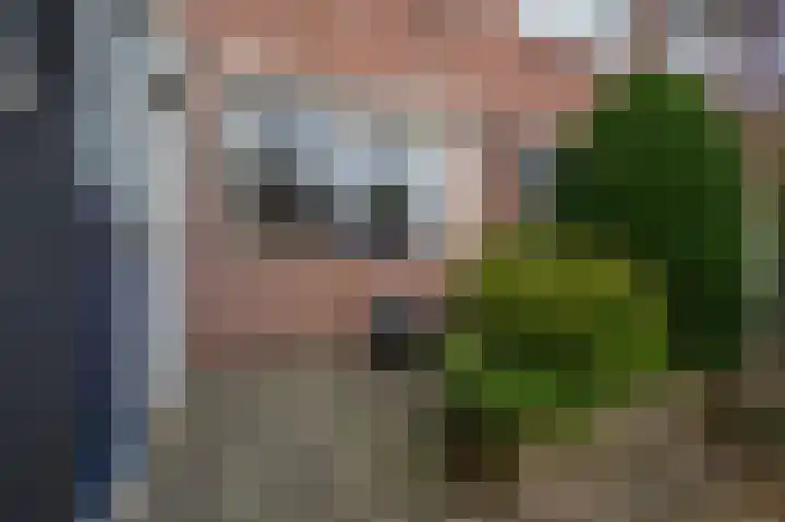 De Twaalfmaat 4 Uitgeest foto 2