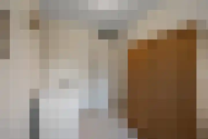 De Twaalfmaat 4 Uitgeest thumbnail 20