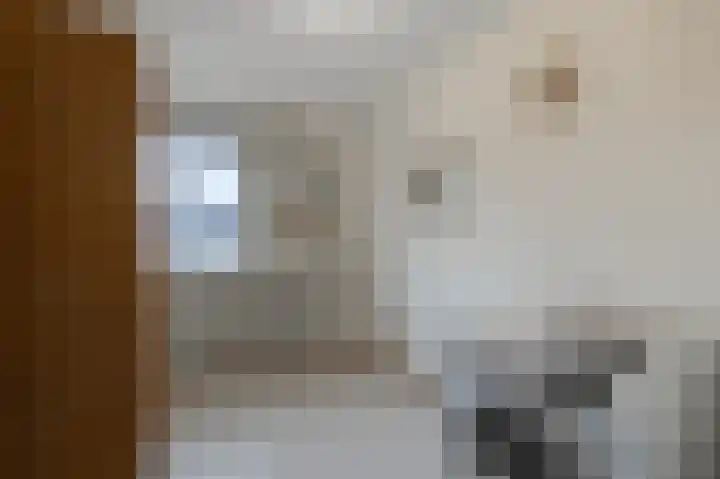 De Twaalfmaat 4 Uitgeest thumbnail 21