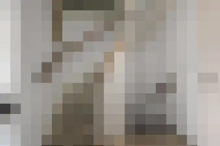 De Twaalfmaat 4 Uitgeest thumbnail 25