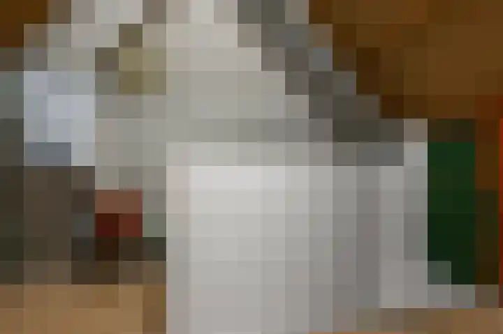 De Twaalfmaat 4 Uitgeest thumbnail 27