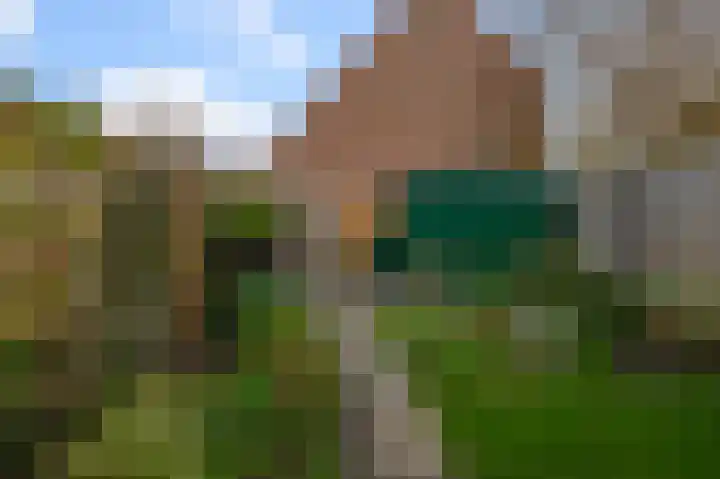 De Twaalfmaat 4 Uitgeest thumbnail 34