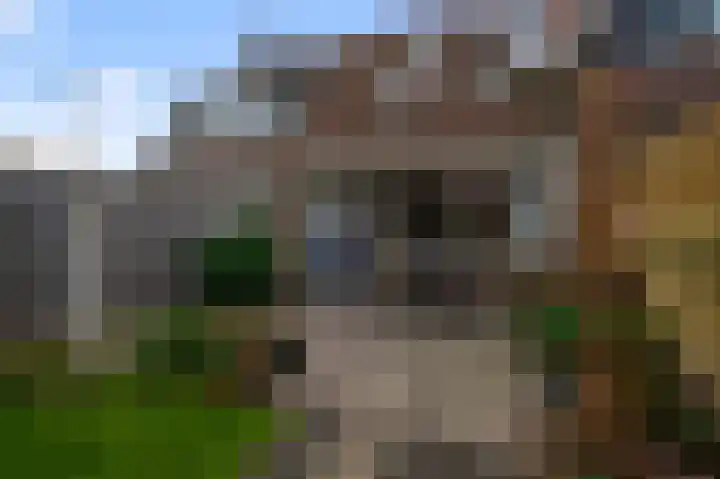 De Twaalfmaat 4 Uitgeest thumbnail 35